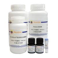 StrepII标签蛋白超快速Western检测试剂盒