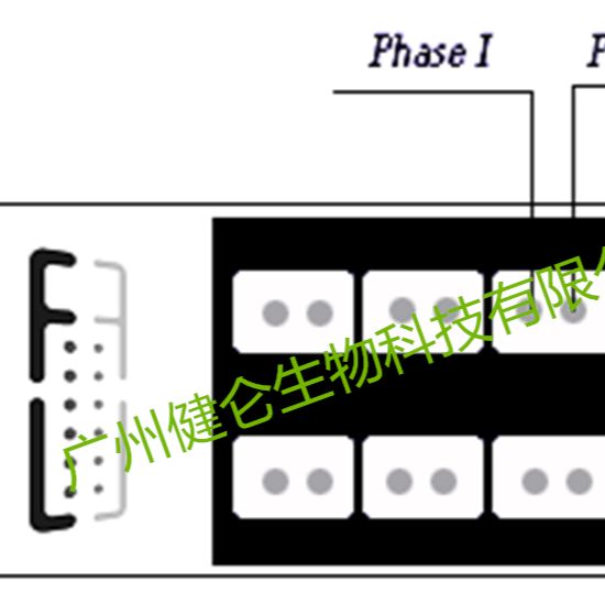 呼吸道合胞病毒IFA检测试剂盒（荧光玻片法）说明书