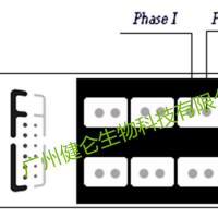 呼吸道合胞病毒IFA检测试剂盒(荧光玻片法)说明书
