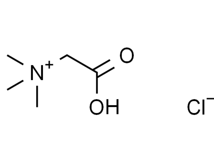 屏幕截图 2025-03-27 172510.png
