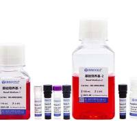 hPSC诱导分化运动神经元细胞试剂盒