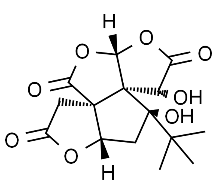 屏幕截图 2025-03-27 165241.png