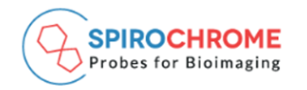  瑞士Spirochrome 公司推出全新 SPY650-FastAct_X 活细胞肌动蛋白探针