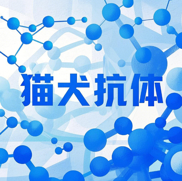 犬腺病毒1/2型蛋白;犬腺病毒1型蛋白;犬腺病毒2型蛋白;犬