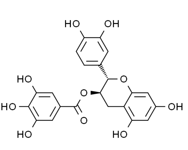 屏幕截图 2025-03-27 151445.png