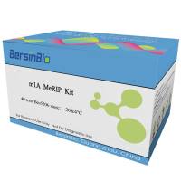 m1A MeRIP (含m1A抗体) 试剂盒