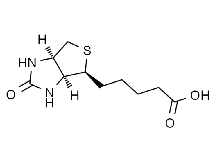 屏幕截图 2025-03-27 164842.png