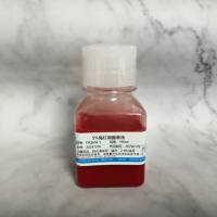 5%兔红细胞悬液