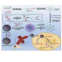pH响应型DNA纳米凝胶包封阿霉素(Dox)-siRNA