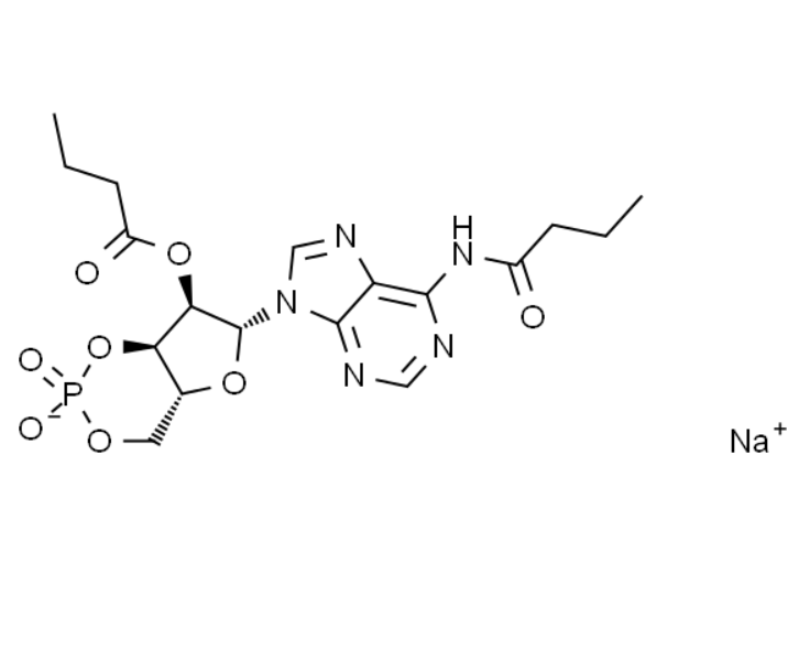 屏幕截图 2025-03-27 163149.png