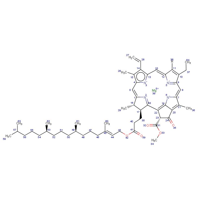 叶绿素|1406-65-1|Chlorophyll