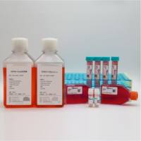 人正常胰腺导管细胞