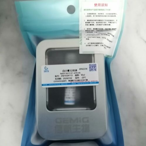 白介素32抗体