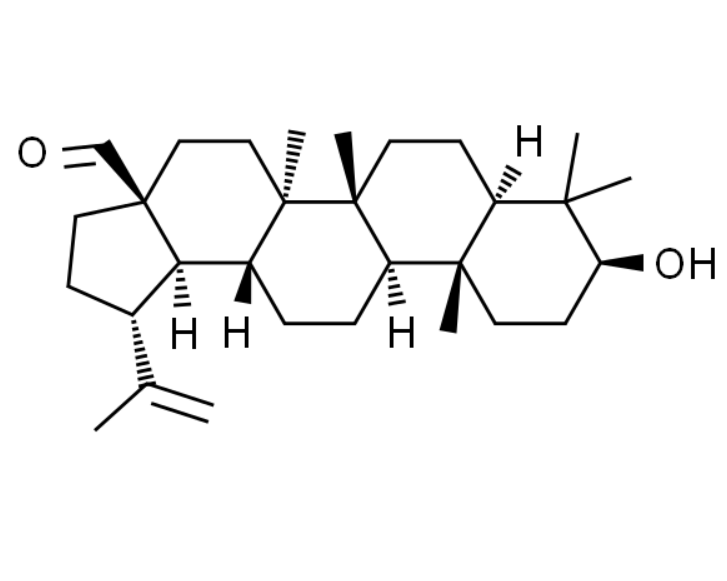 屏幕截图 2025-03-27 172126.png