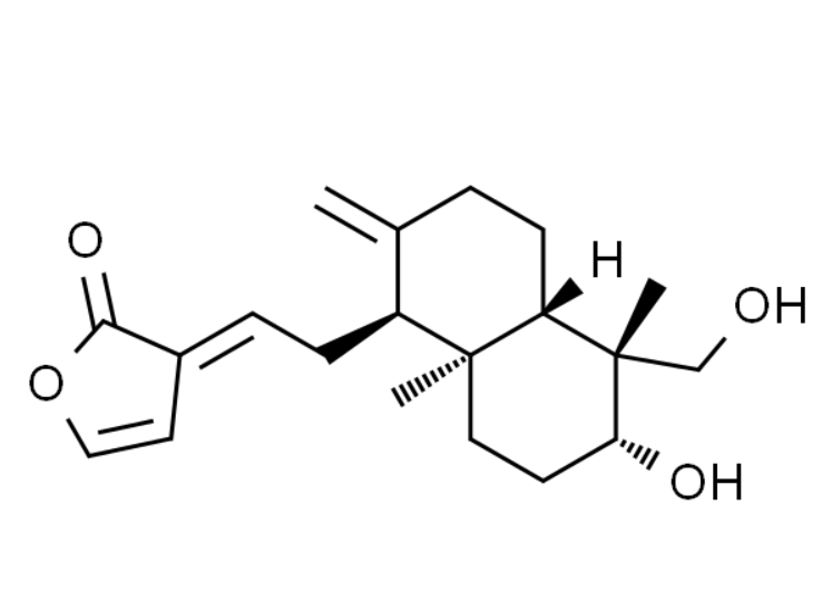 屏幕截图 2025-03-27 094222.png
