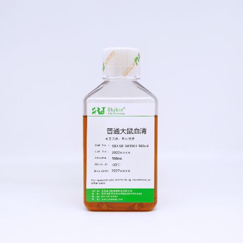 普通大鼠血清