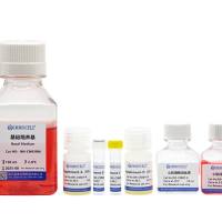 hPSC诱导分化心肌细胞试剂盒