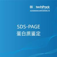 SDS-PAGE蛋白质鉴定