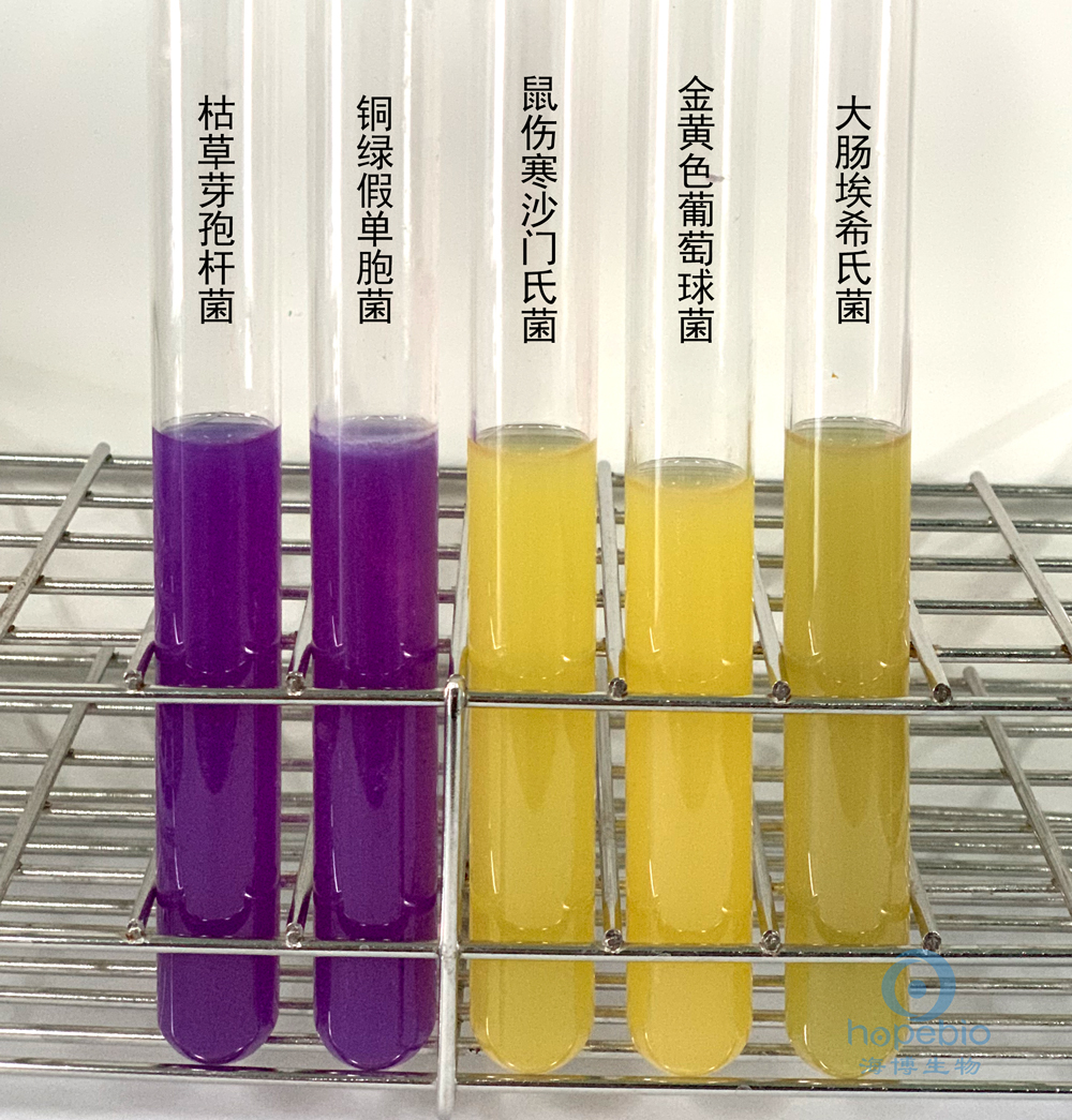产品细节图片1
