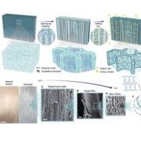 聚乙烯醇（PVA）聚合成智能水凝胶