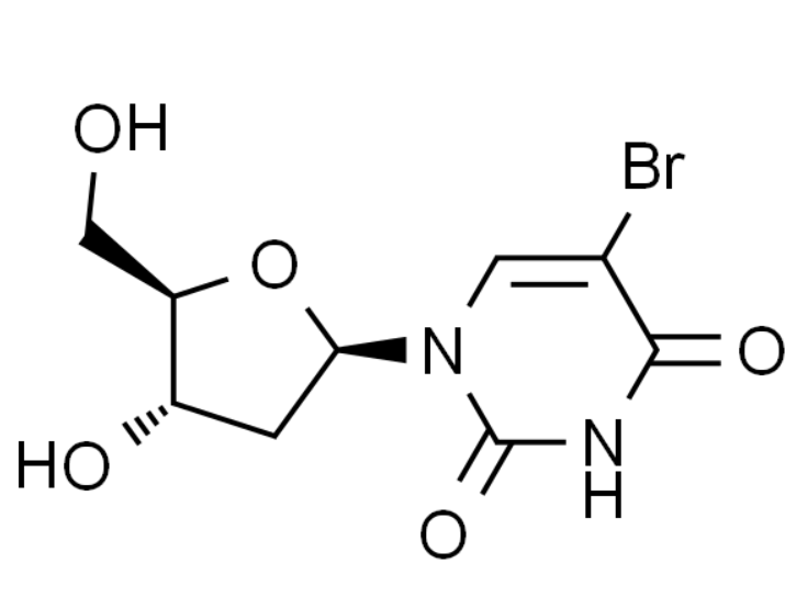 屏幕截图 2025-03-27 164517.png