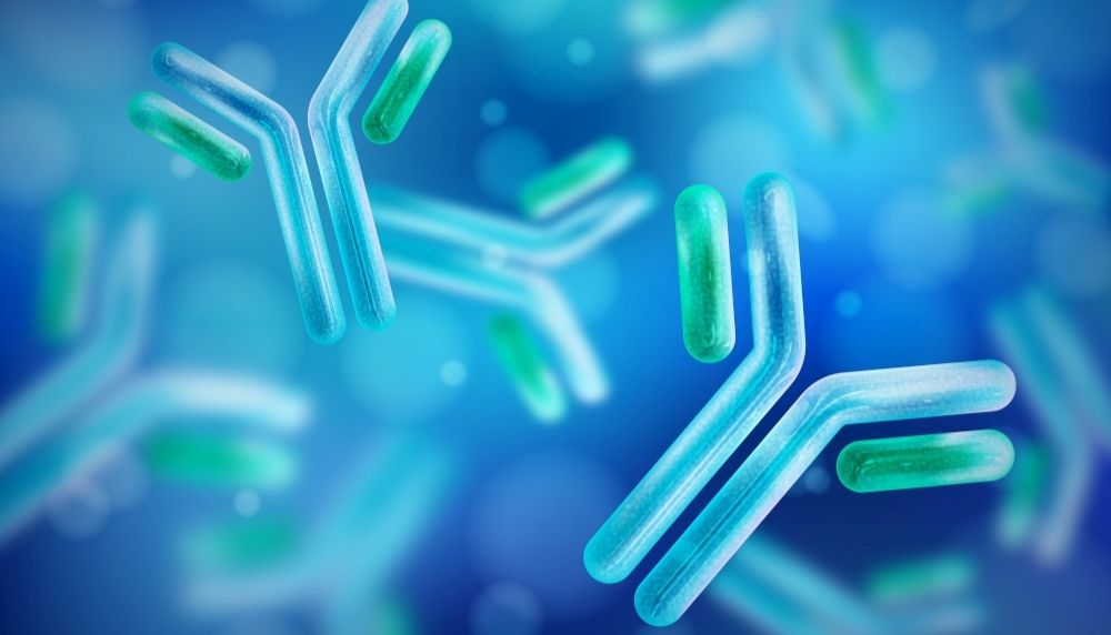 纳米抗体开发技术路线