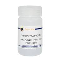BeyoWB™洗涤液(10X)