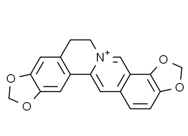 屏幕截图 2025-03-27 114220.png