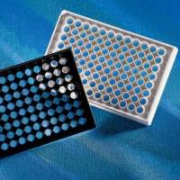 F底8联条96孔可拆酶标板，白色