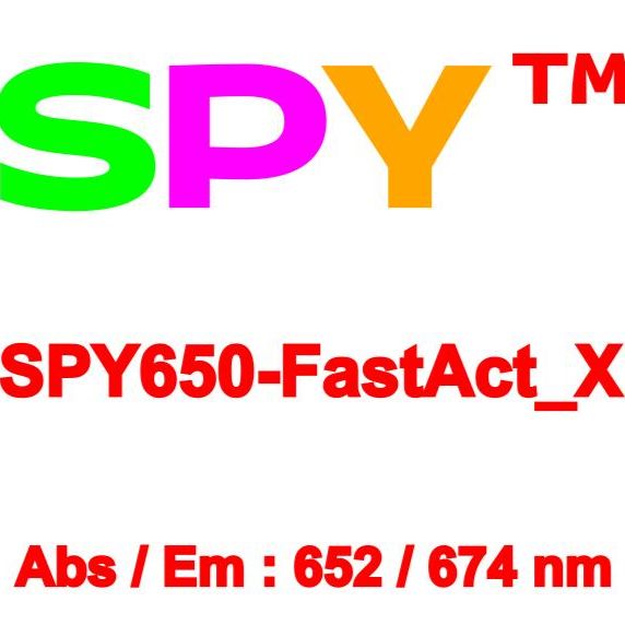 SPY650-FastAct_X 活细胞肌动蛋白探针