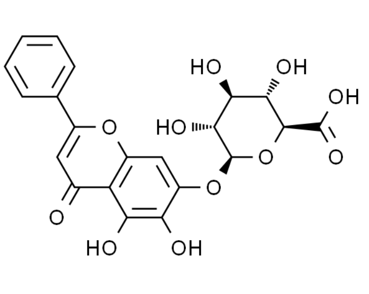 屏幕截图 2025-03-28 094854.png