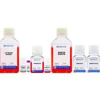 小鼠气管类器官原代分离培养套装