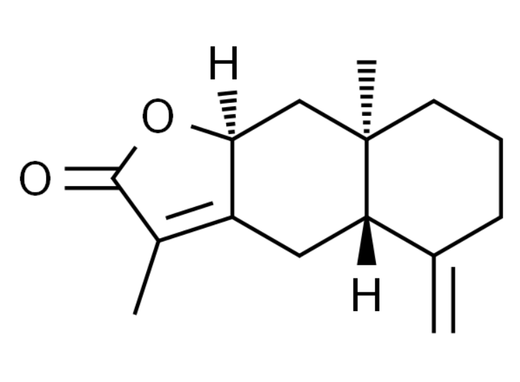 屏幕截图 2025-03-28 101440.png