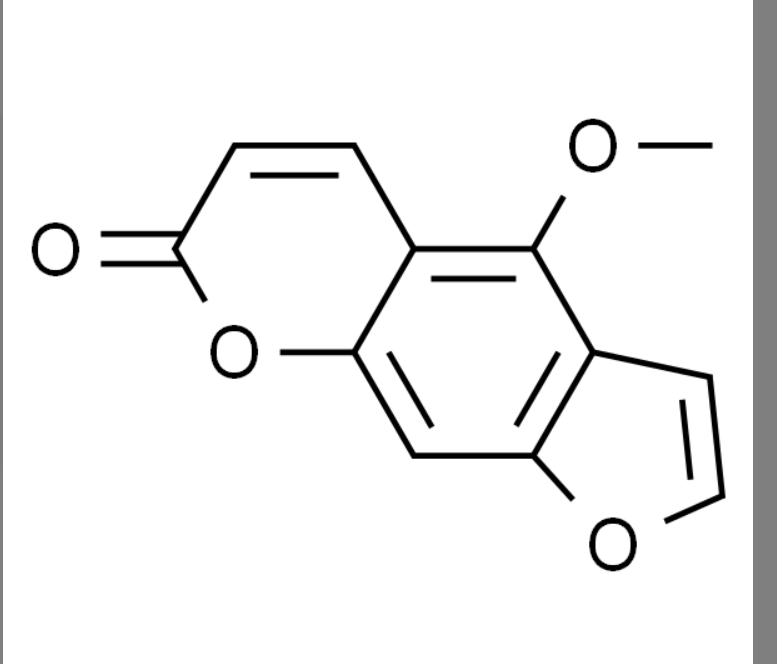 屏幕截图 2025-03-28 085407.png