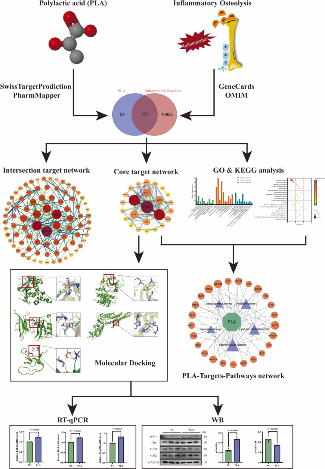 IF:6.2，网络毒理学赛道优势尽显！想快速发文的快来模仿吧！！
