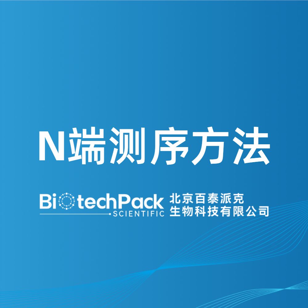 N端测序方法-百泰派克生物科技