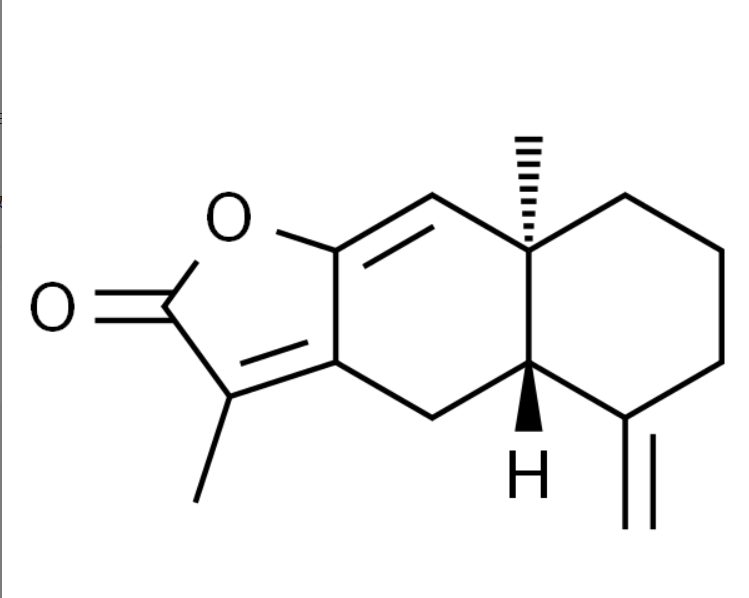 屏幕截图 2025-03-28 101805.png