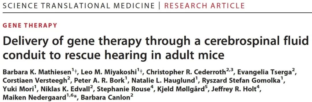 Olink精准蛋白组学助力动物模型研究