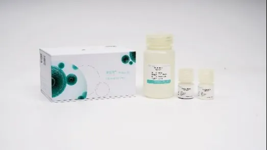 普诺赛细胞学堂 | 外泌体分离不再难！普诺赛®四大试剂盒全面解析