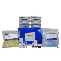 （MPure-32™）粪便RNA提取试剂盒（磁珠法）