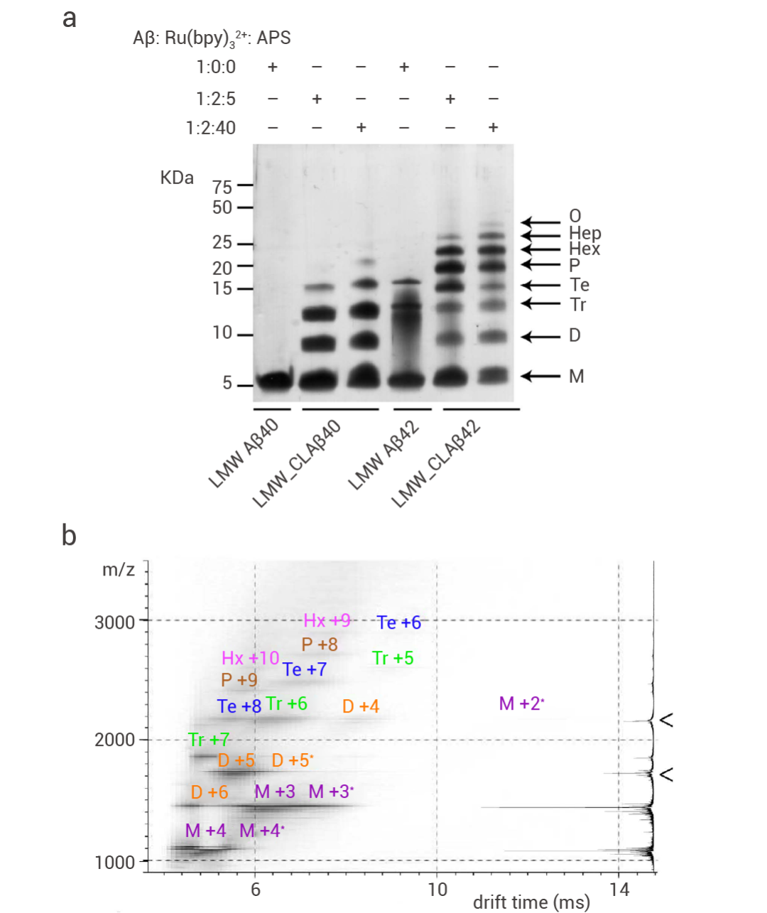 阿爾茨海默癥: 關(guān)于 “β-淀粉樣蛋白“ 的 7 大常見檢測(cè)！
