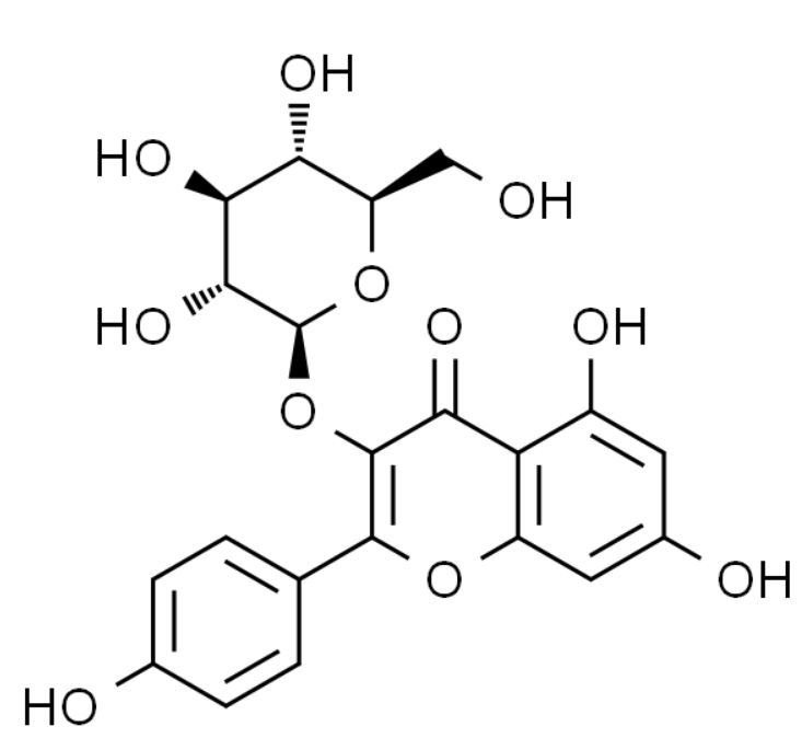 屏幕截图 2025-03-28 103034.png