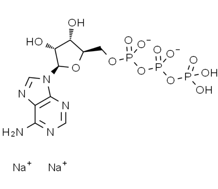 屏幕截图 2025-03-28 102137.png