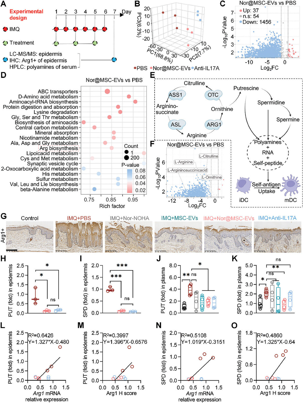 生物信息学分析 生物信息学分析