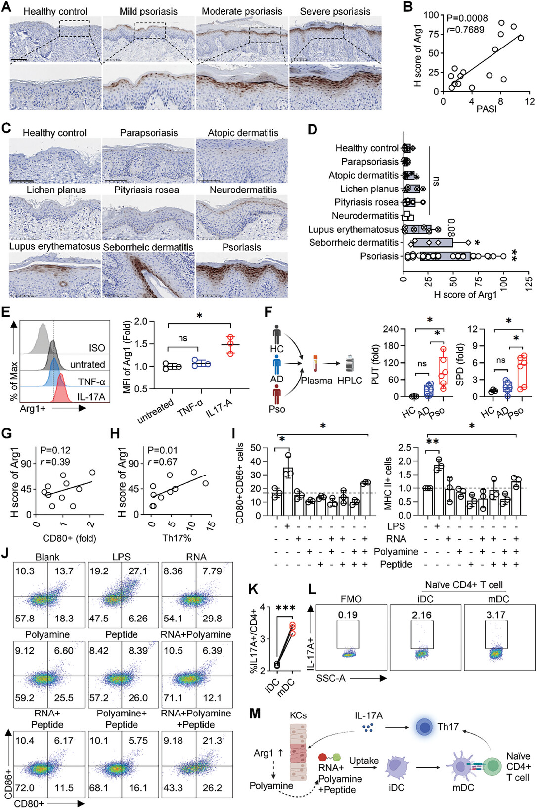 免疫组化 免疫组化