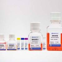 hPSC诱导分化内耳类器官试剂盒