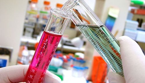 【细胞转染实验】以24孔板siRNA转染为例