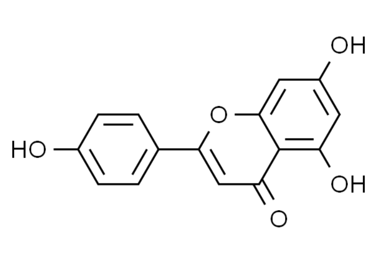 屏幕截图 2025-03-28 114109.png