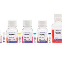 hPSC诱导分化胰岛类器官试剂盒