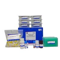 （MPure-96™）粪便RNA提取试剂盒（磁珠法）